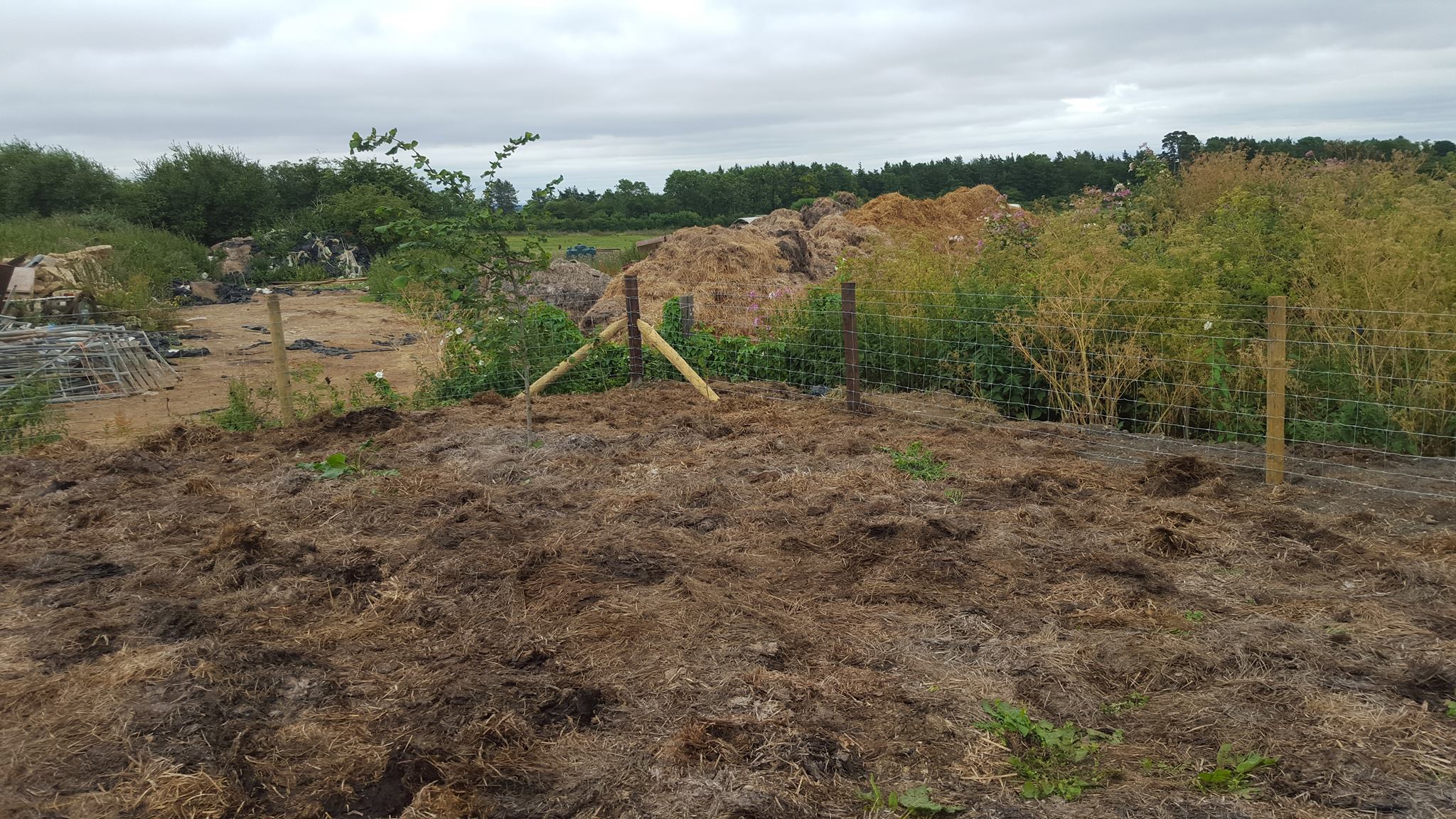 Agricultural fencing in Duns Tew